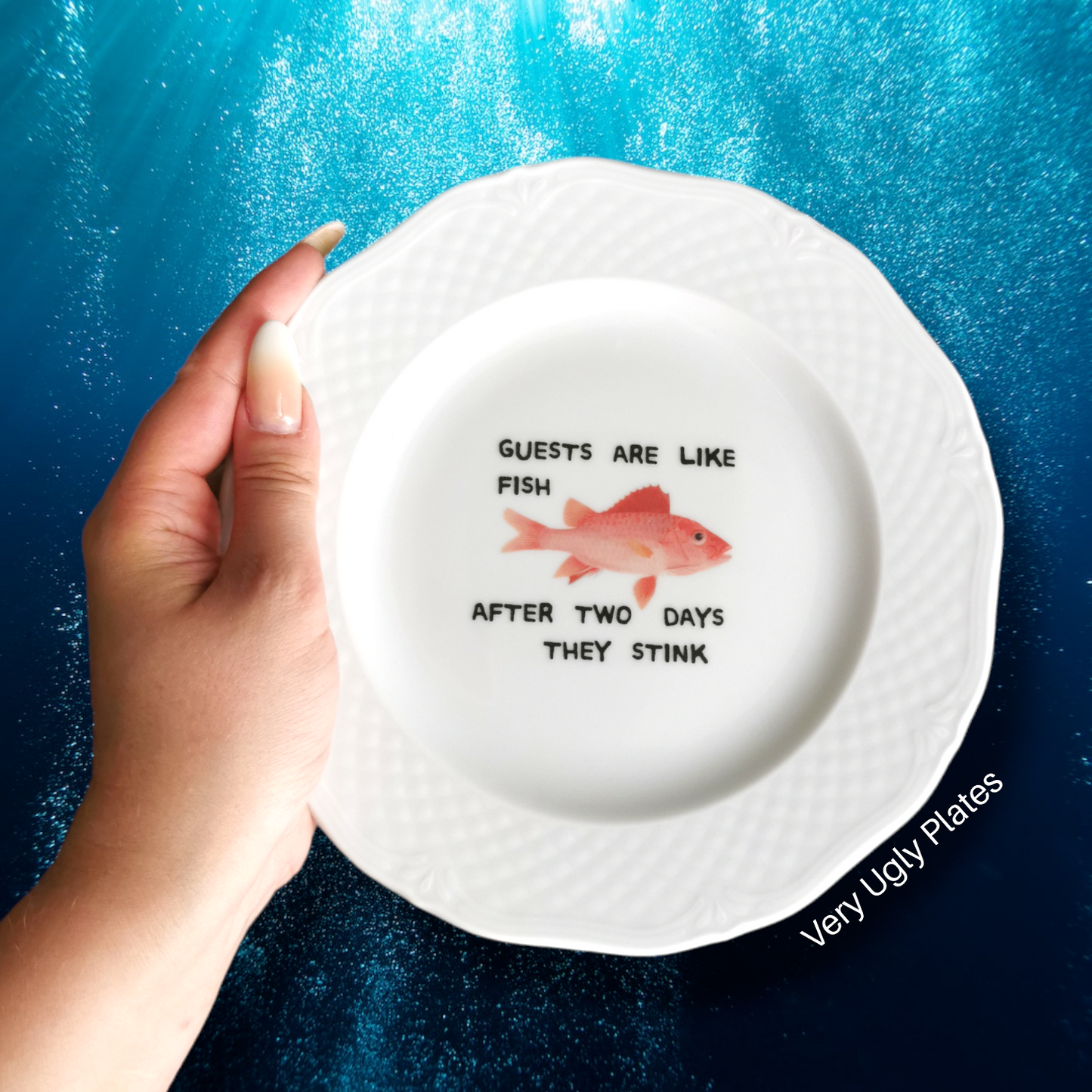 dishwasher and microwave safe dessert plate guests