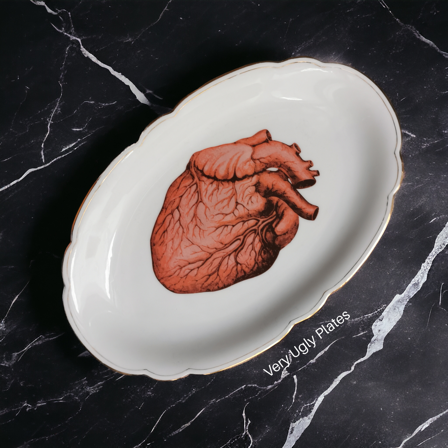 Heart