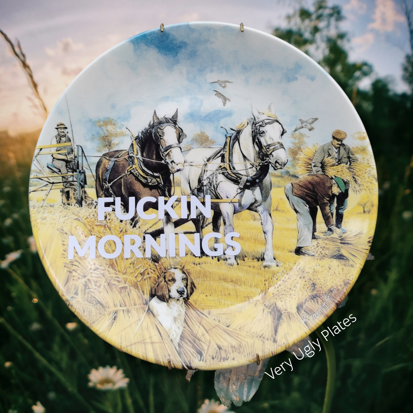 Fuckin Mornings