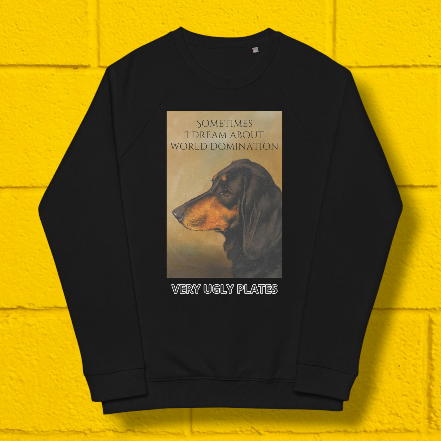 World domination sweatshirt