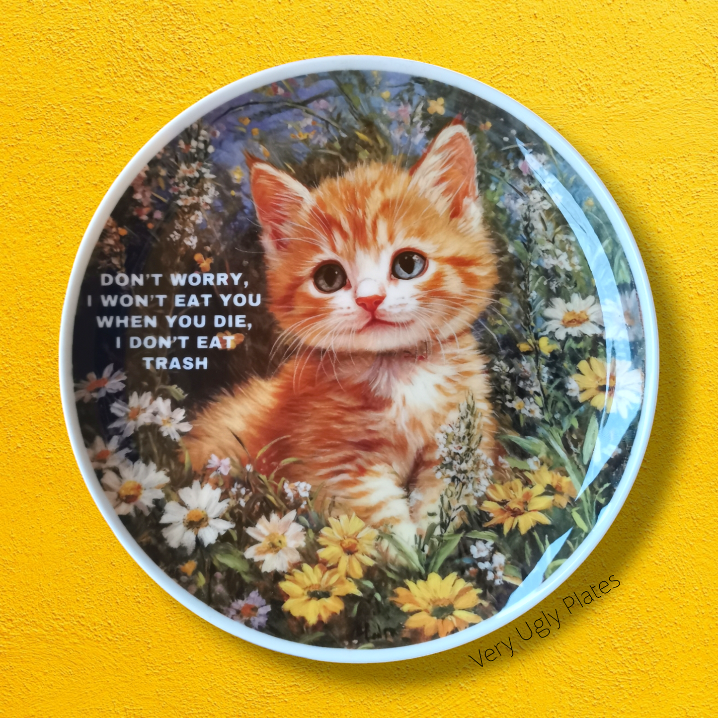 Kitty plate