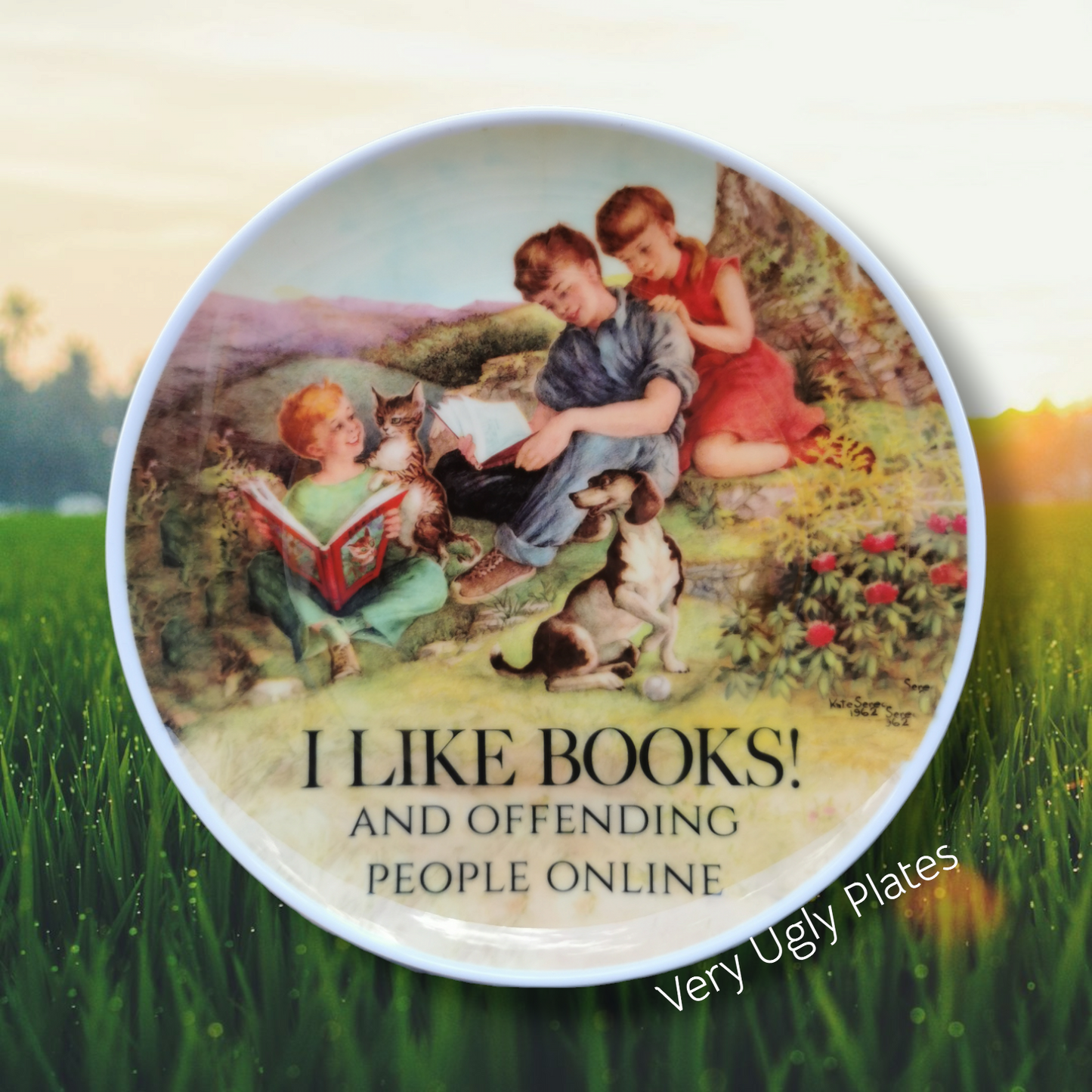 I like books