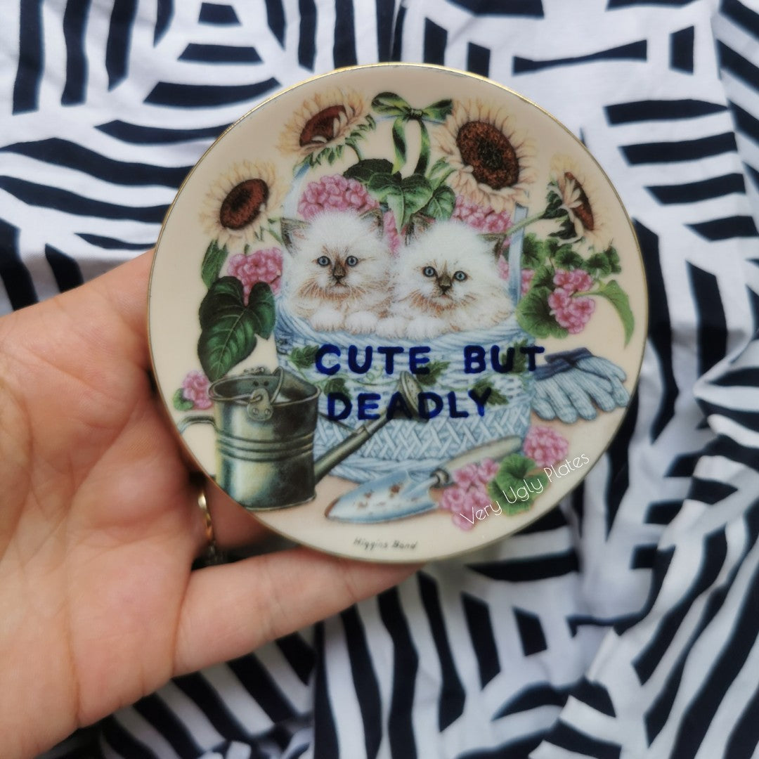 mini wall plate