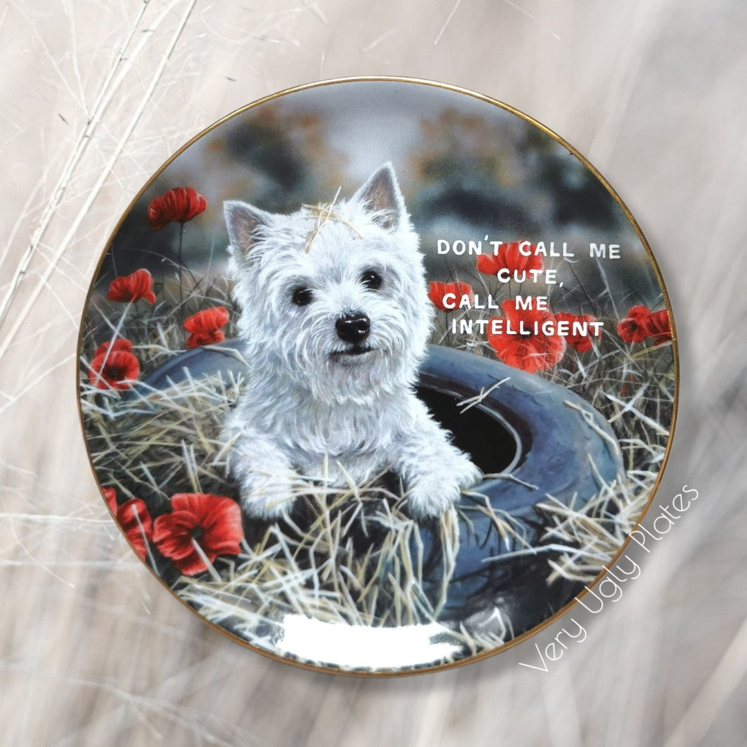 call me intelligent wall plate