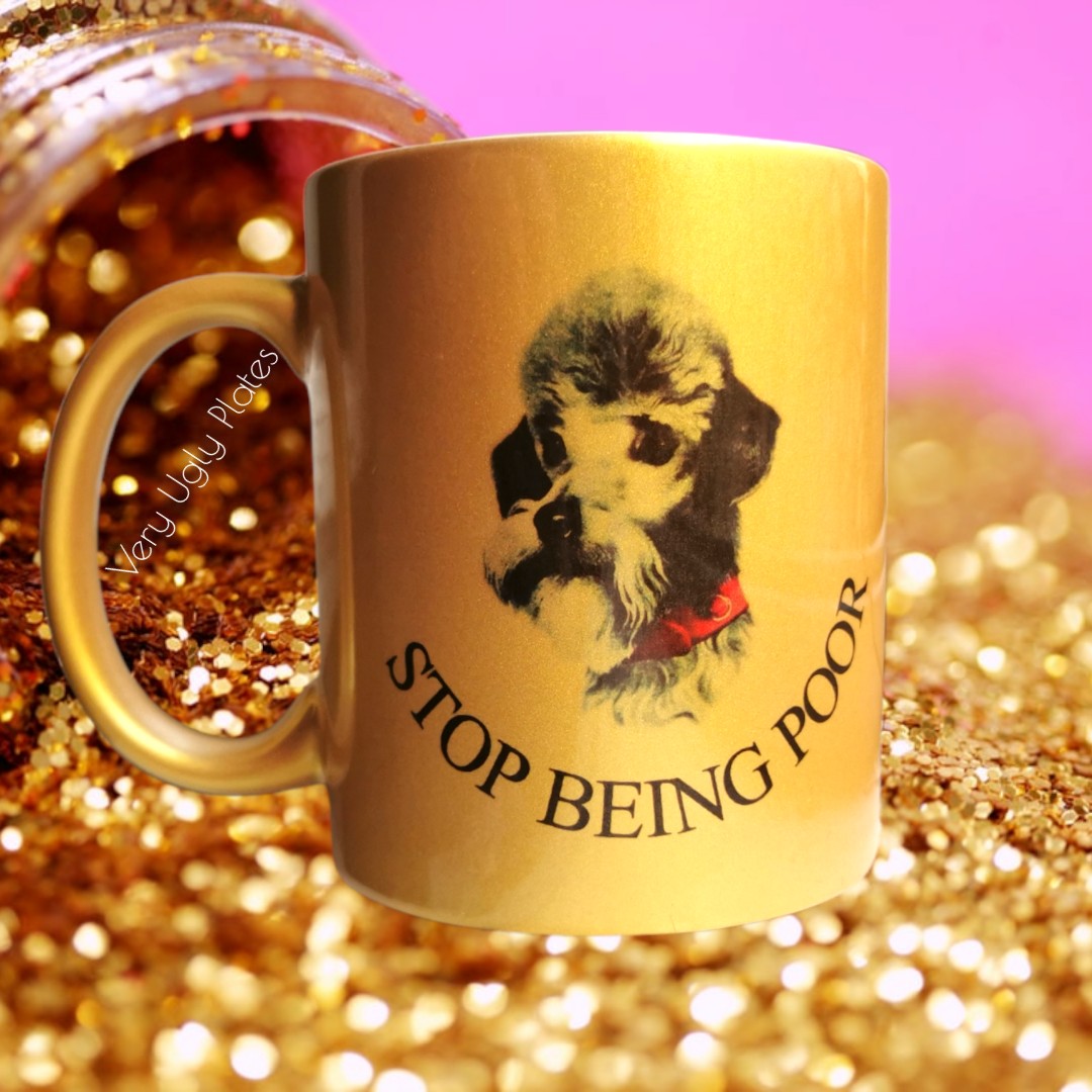 stop being poor mug