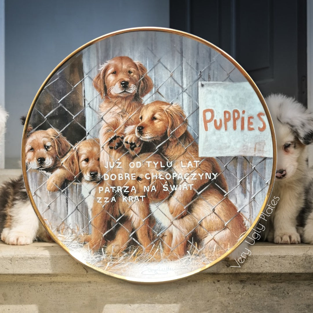 polish wall plate