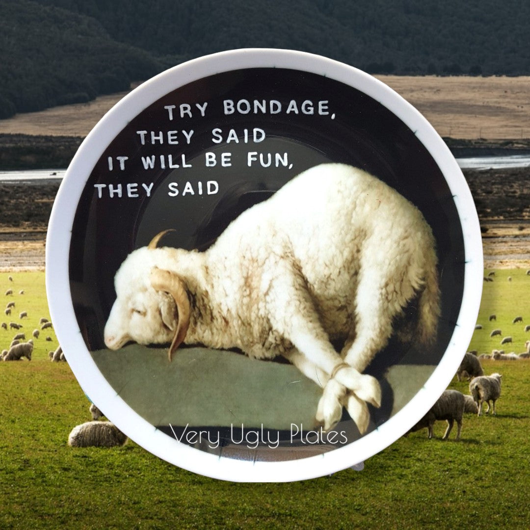 try bondage they said wall plate