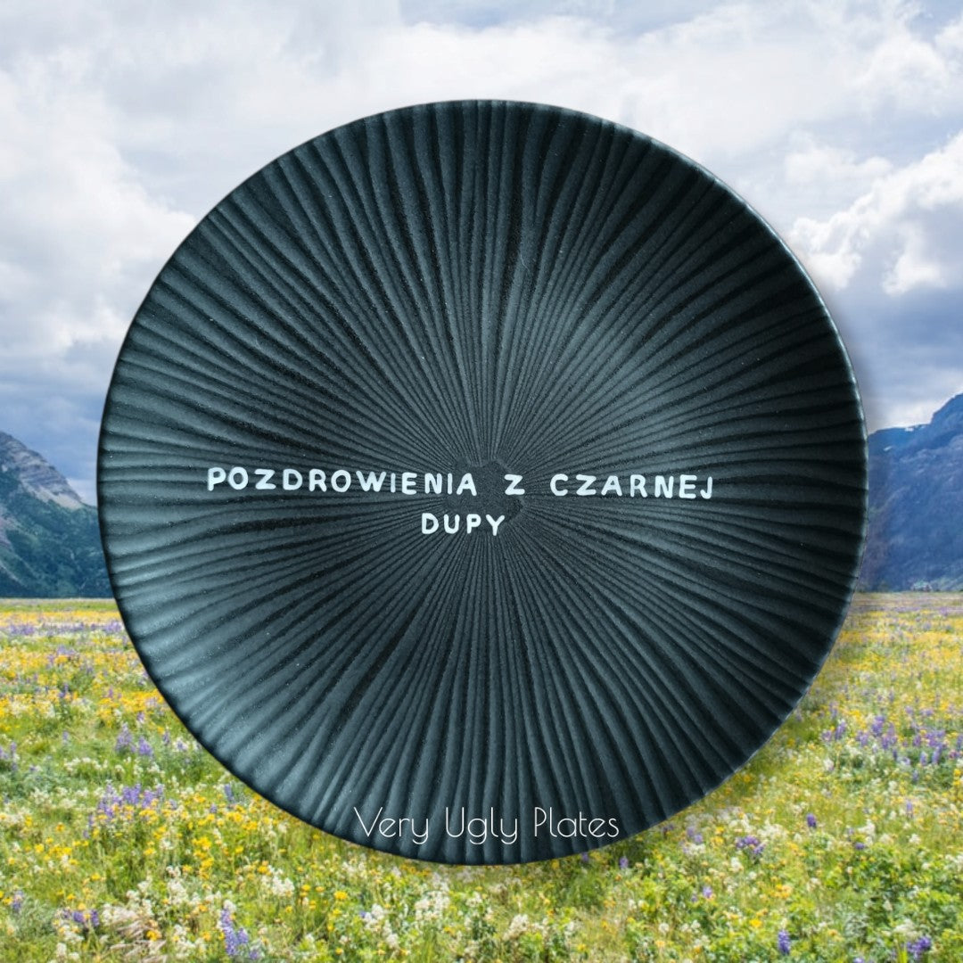 polish wall plate