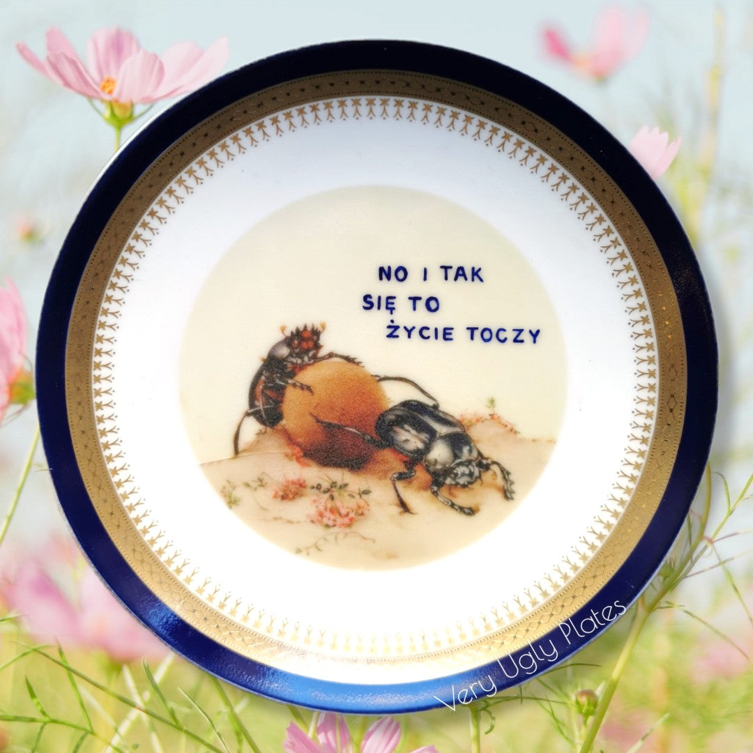 polish plate