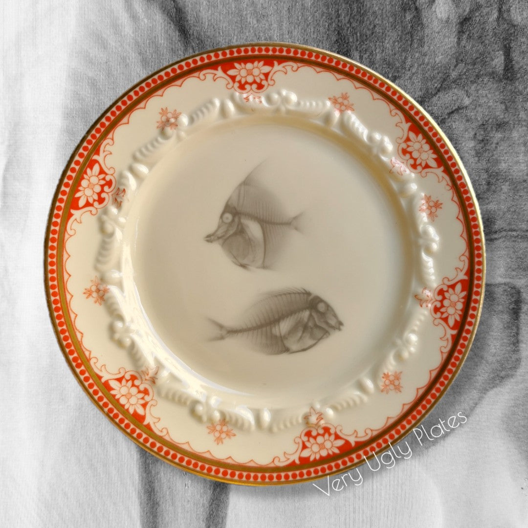xray fishes wall plate