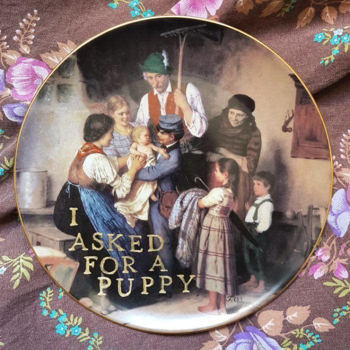 asked for puppy