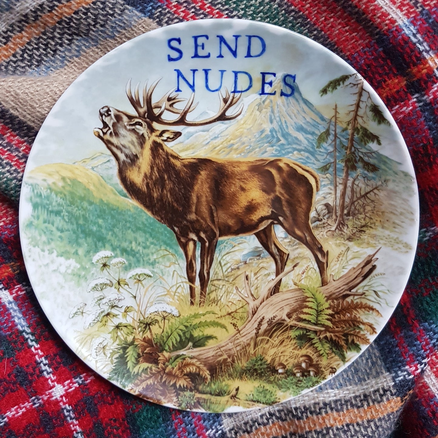send nudes wall plate