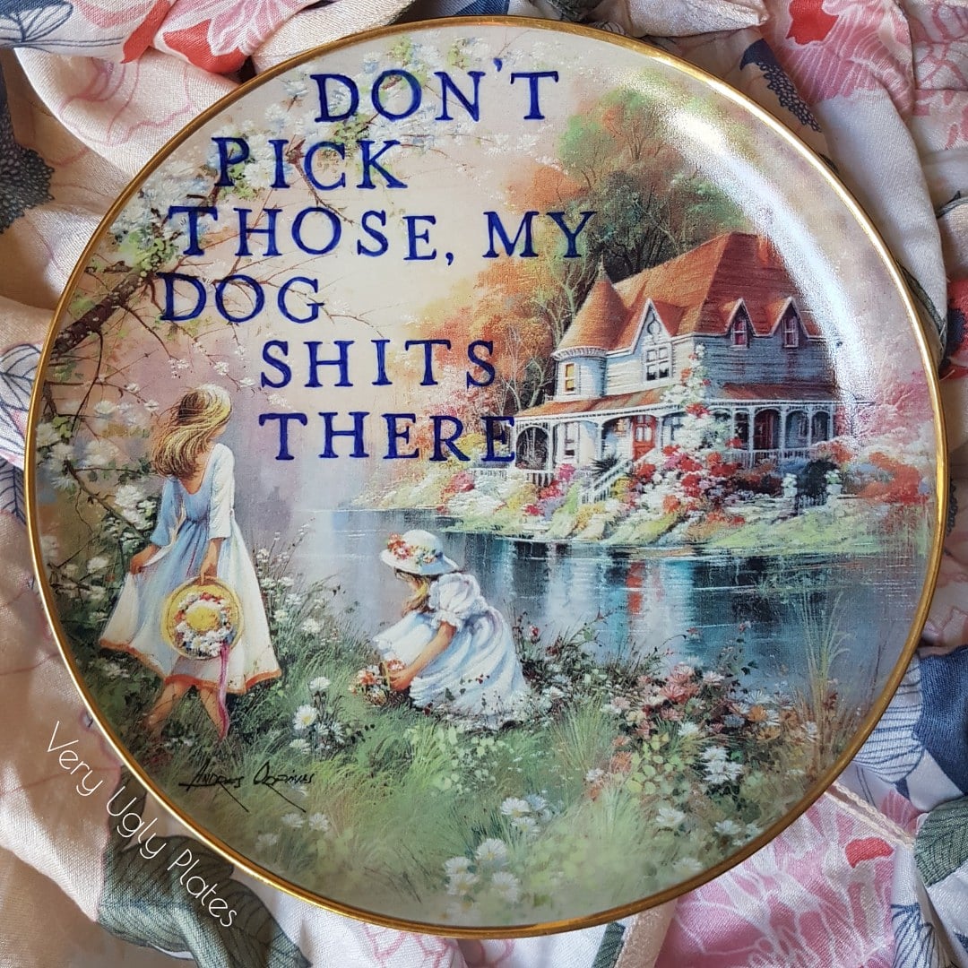 my dog shits there wall plate