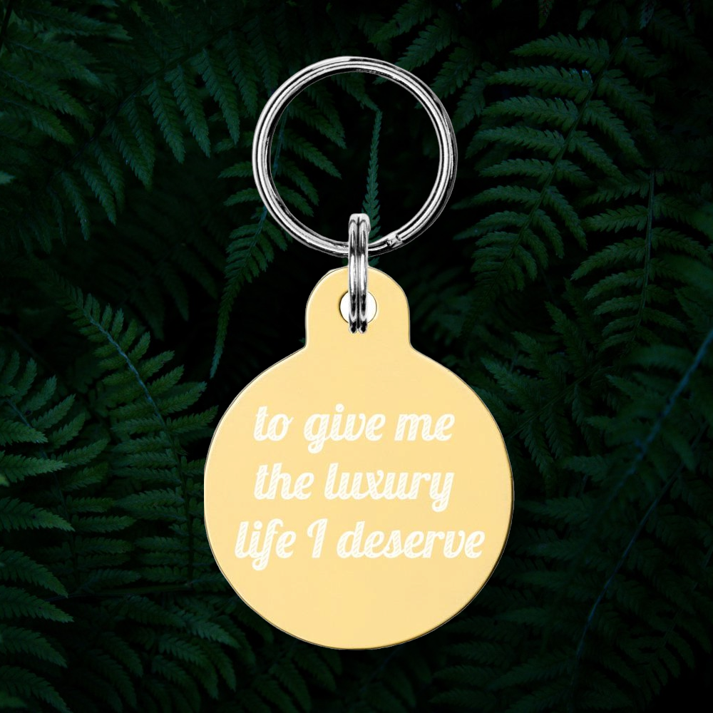 pet tag with message from your pet
