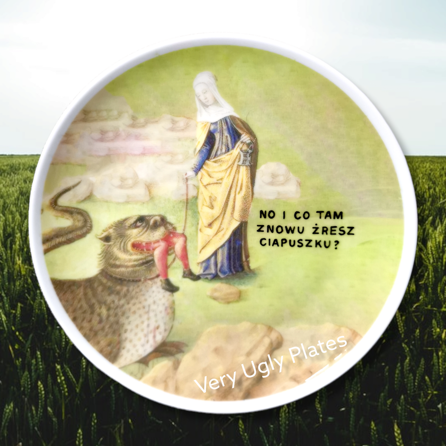 ciapuszek wall plate