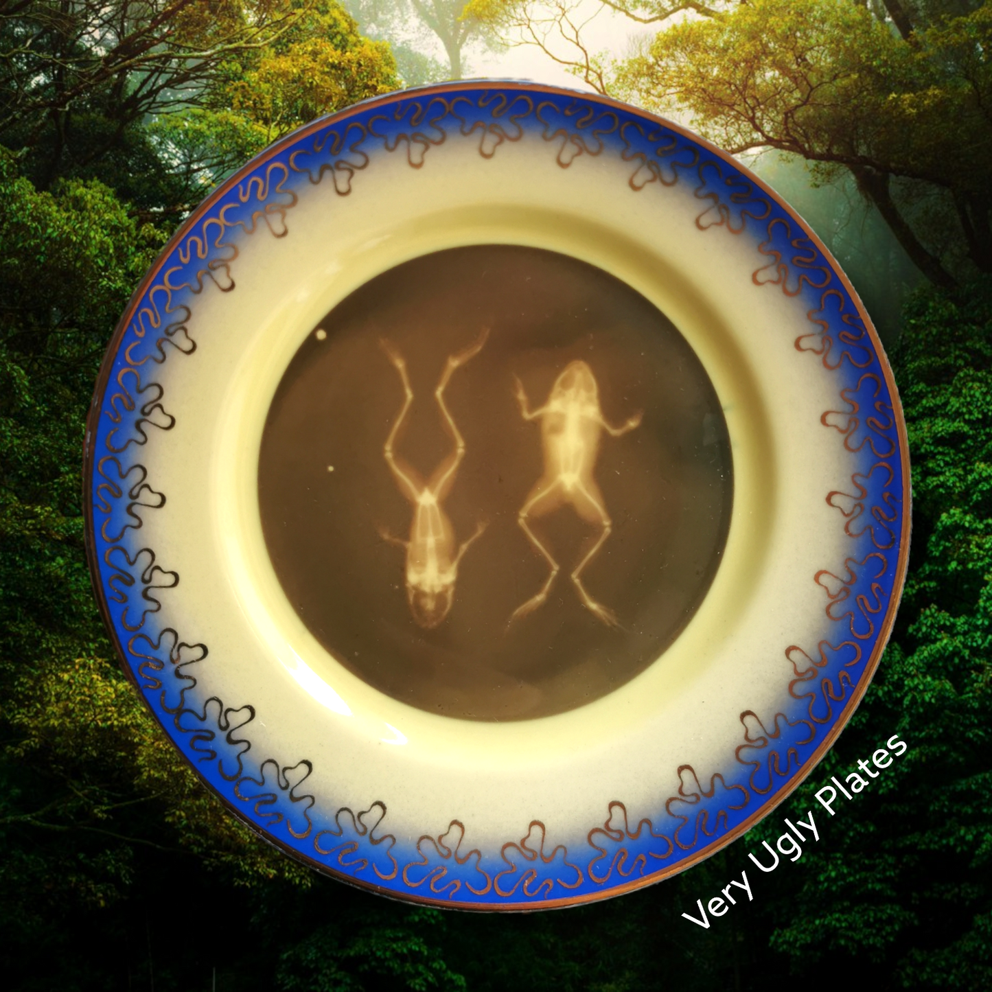 xray frogs wall plate