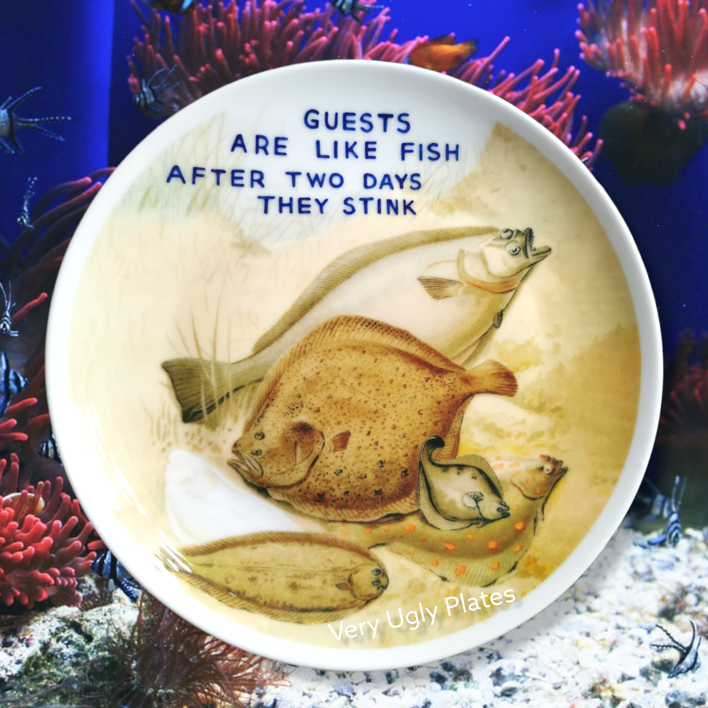 guests are like fish wall plate