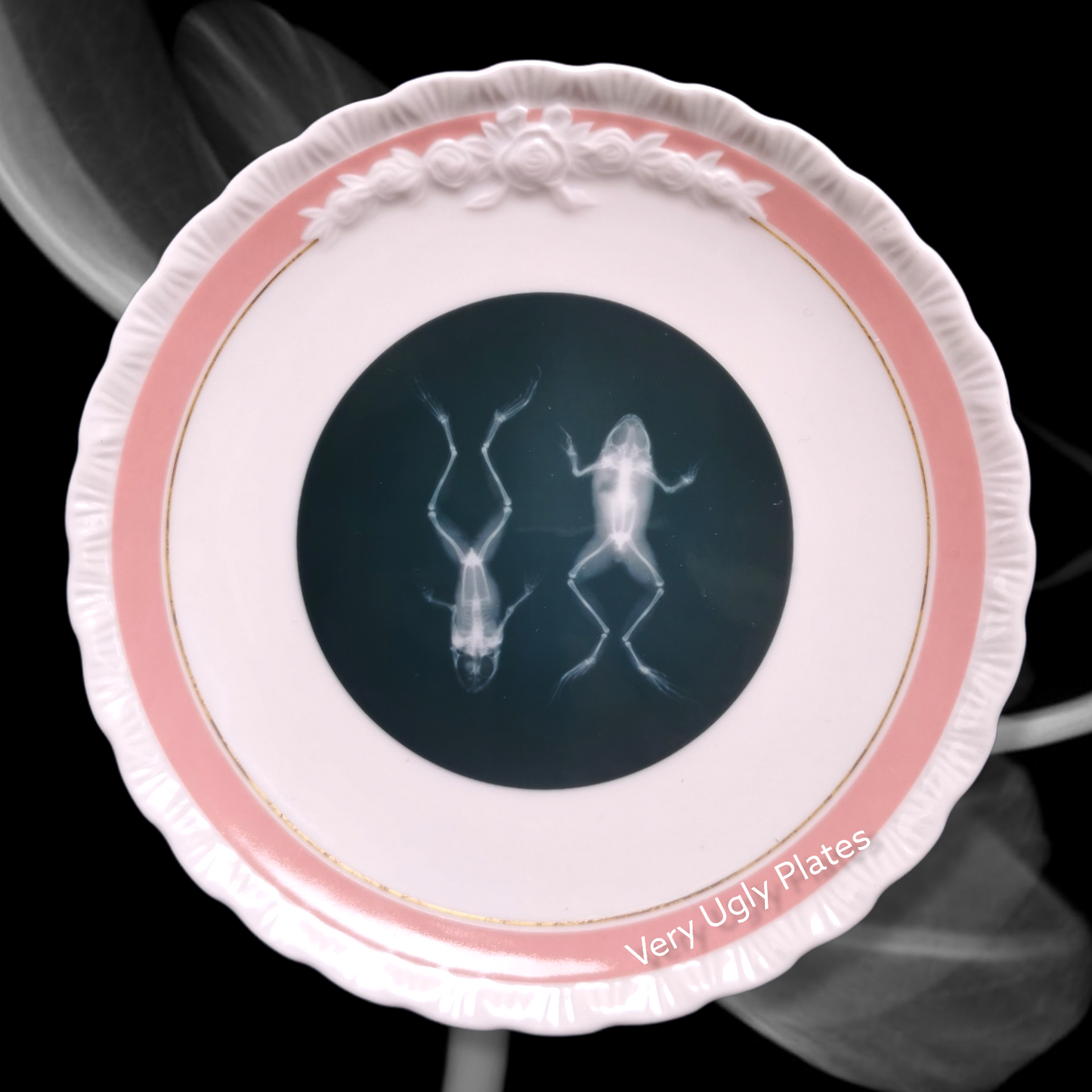 x-ray frogs wall plate