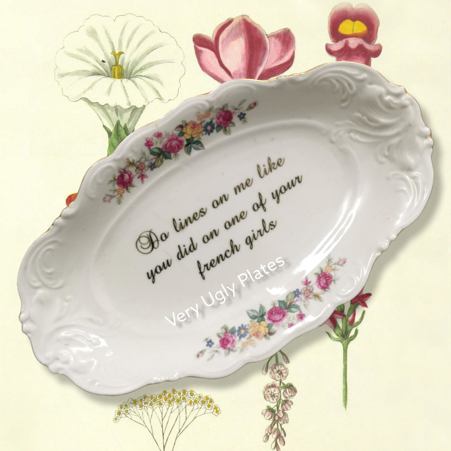 french girls user friendly plate