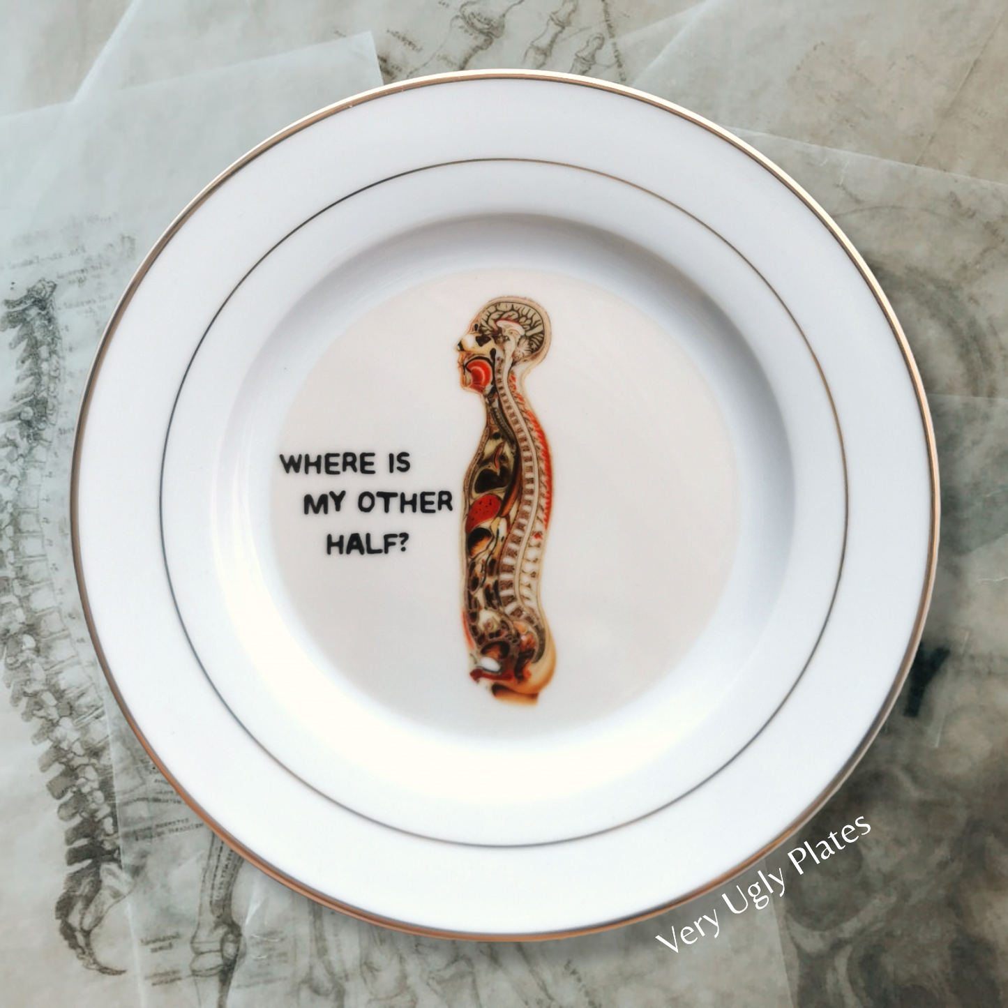 other half wall plate