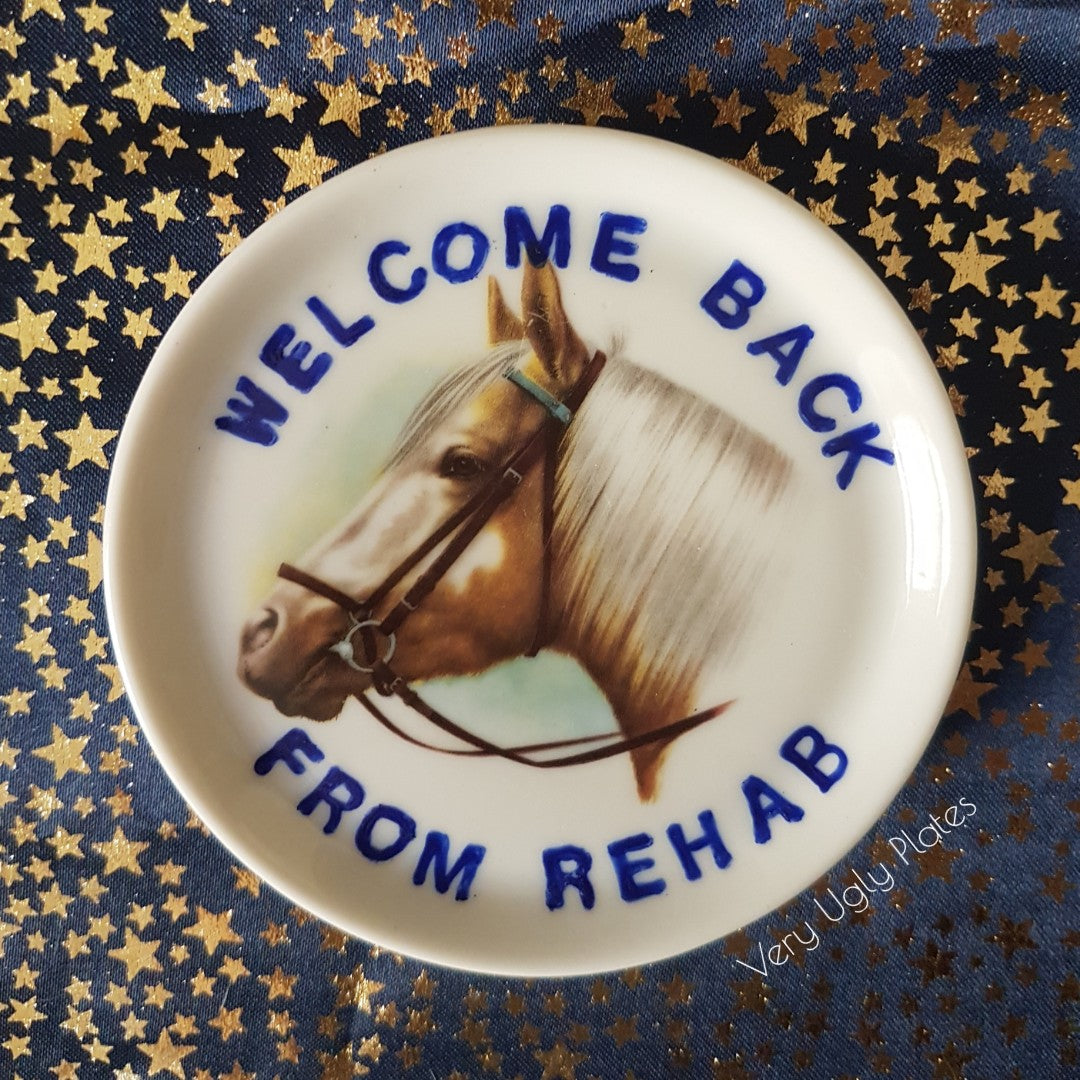 welcome back from rehab mini plate