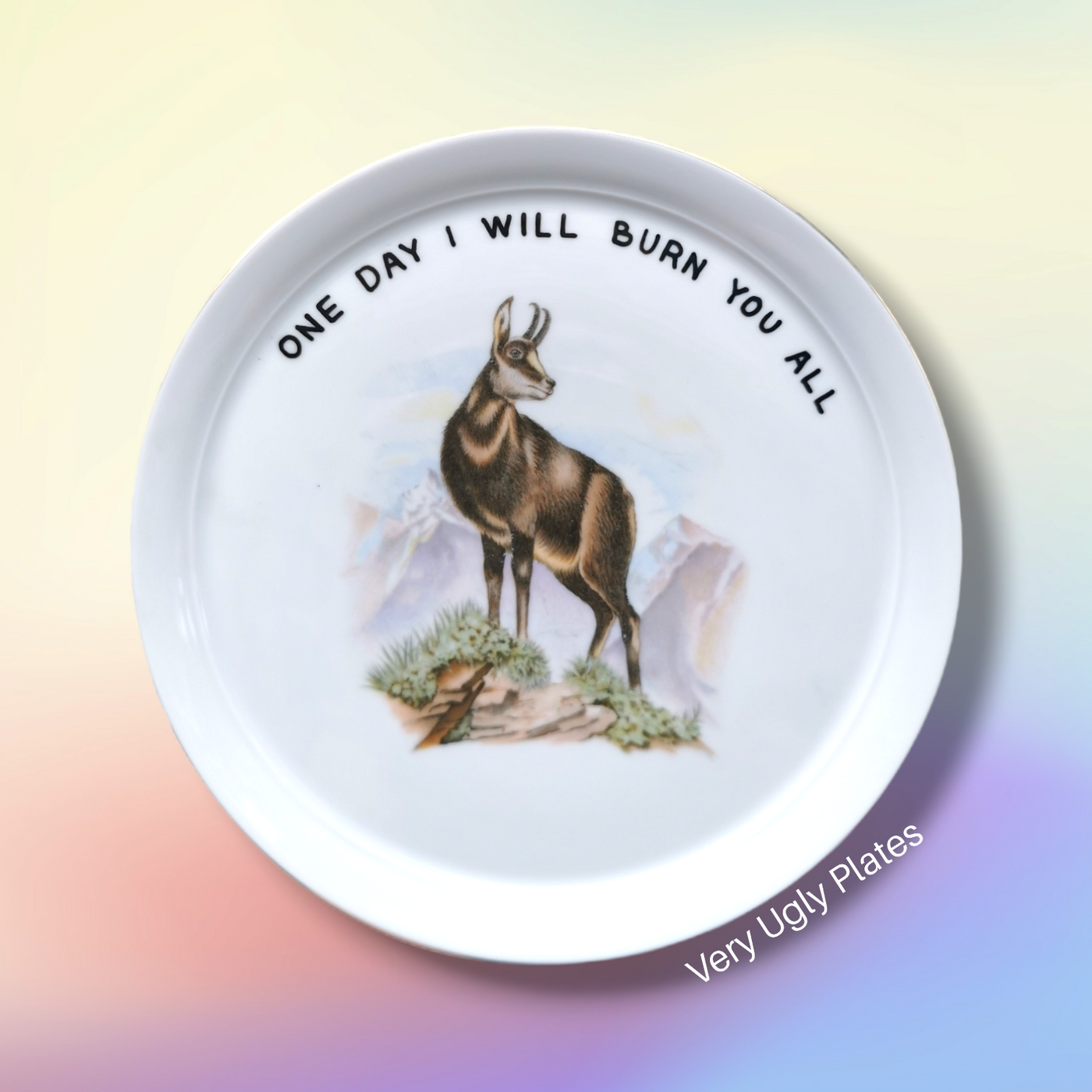 one day wall plate