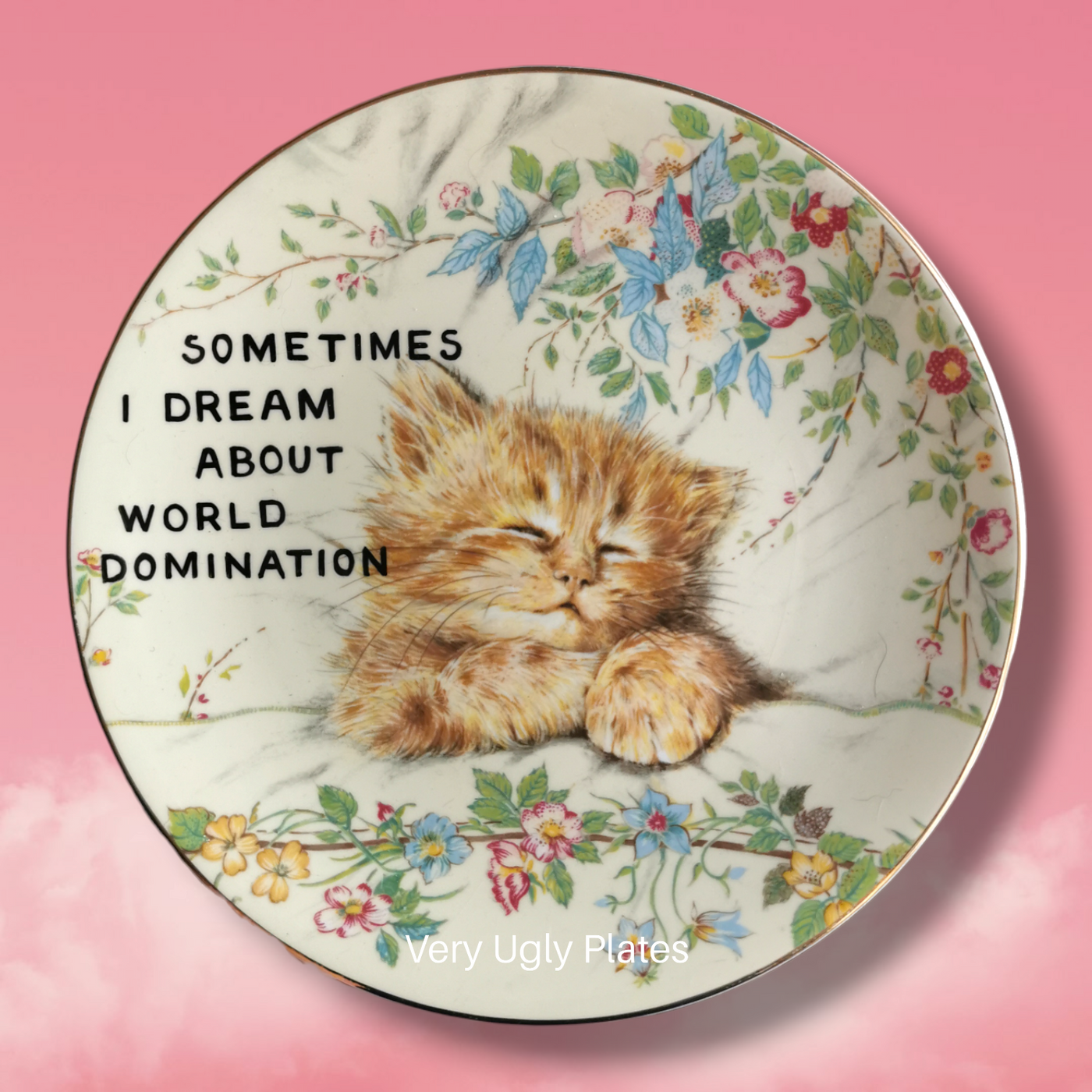 world domination wall plate