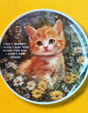 Kitty plate