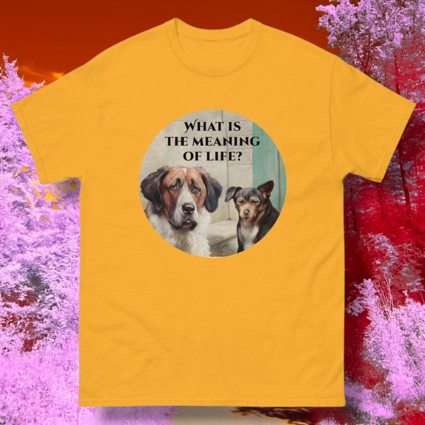 What Is the Meaning of Life T-Shirt