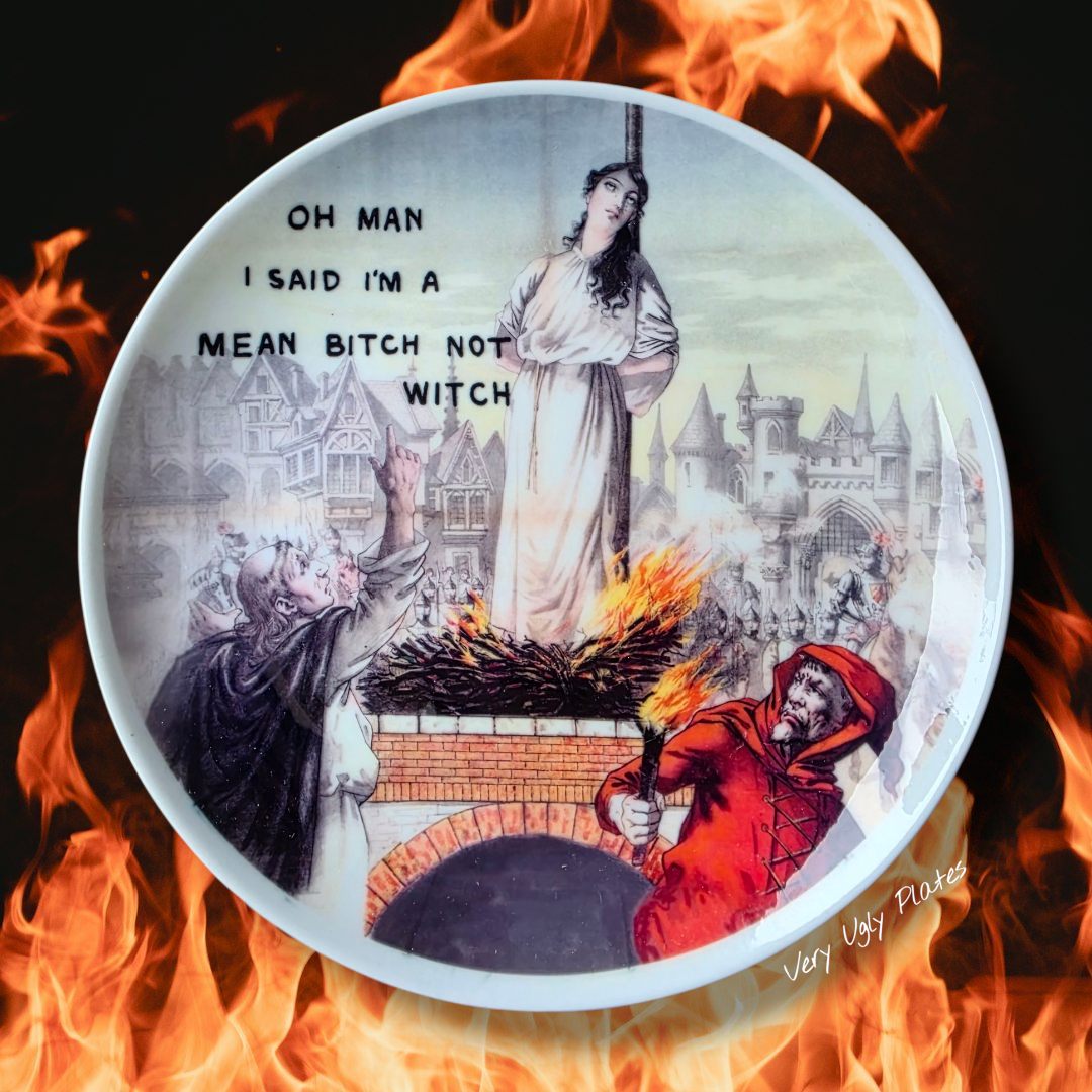 not a witch wall plate