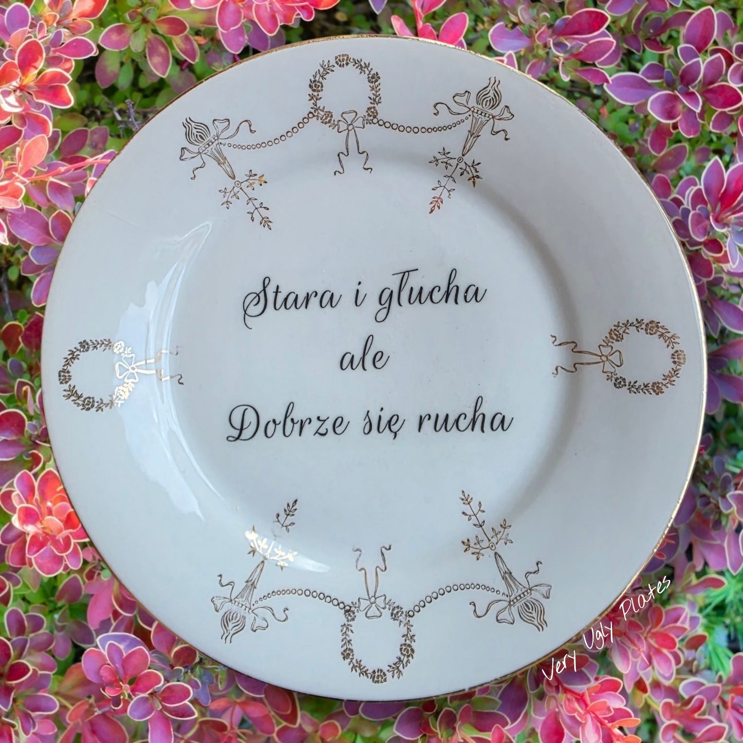 Stara i głucha polish plate