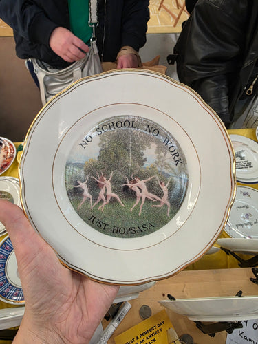 hopsasa wall plate