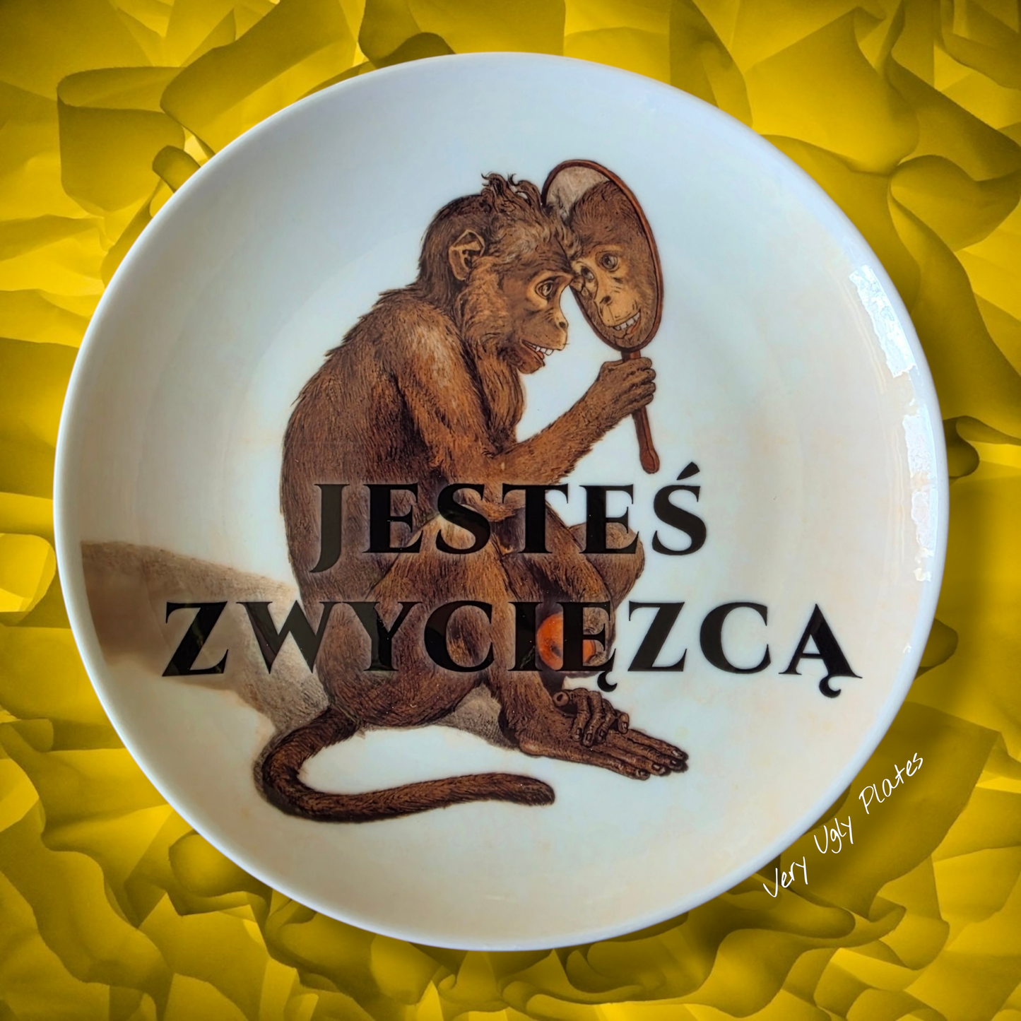 Zwycięzca