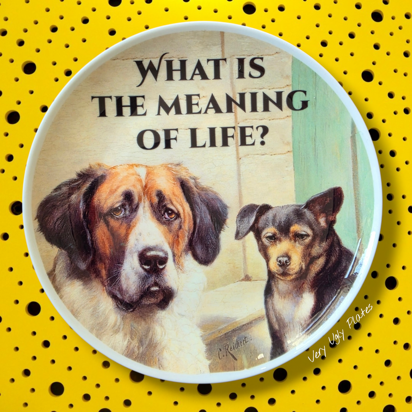 Meaning of life