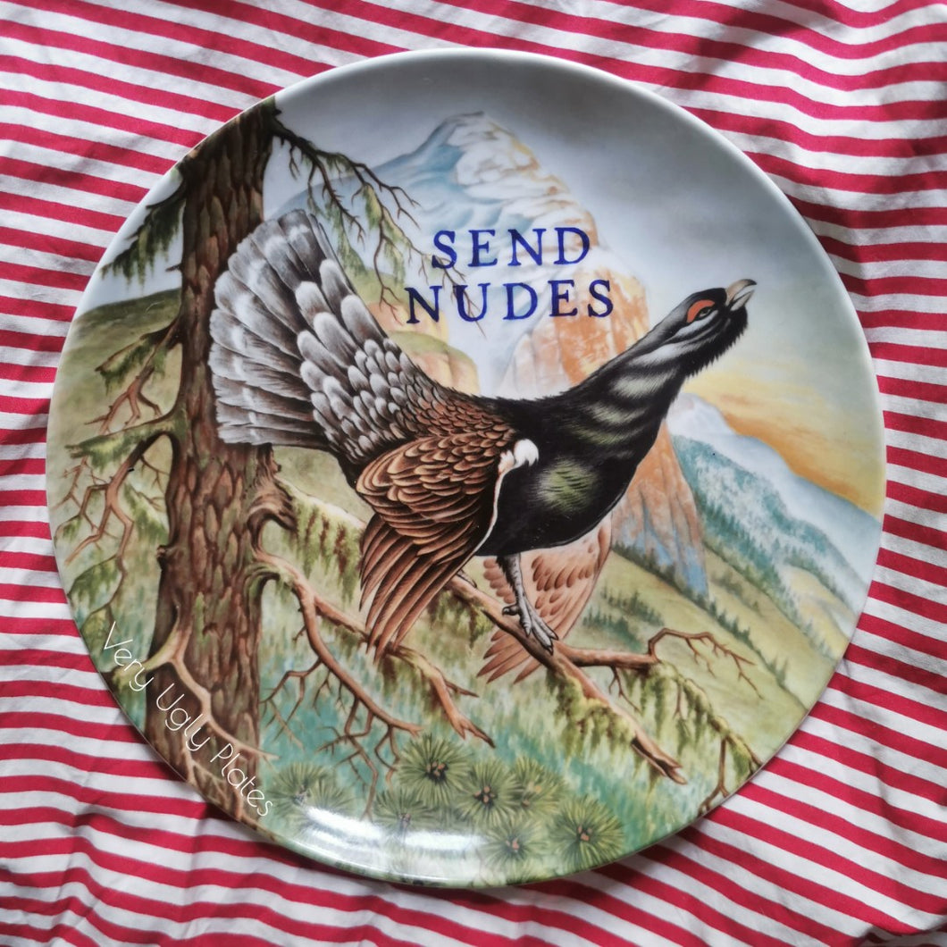 send nudes wall plate