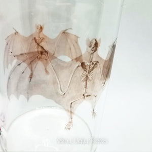bat glass mug pink