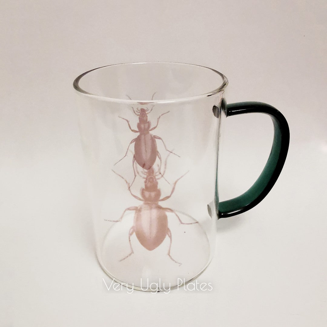 carabus coriaceus glass mug