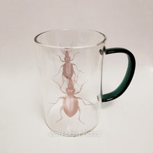 Load image into Gallery viewer, carabus coriaceus glass mug