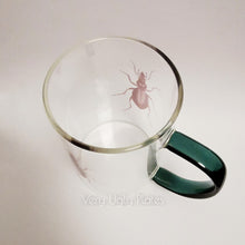 Load image into Gallery viewer, carabus coriaceus glass mug
