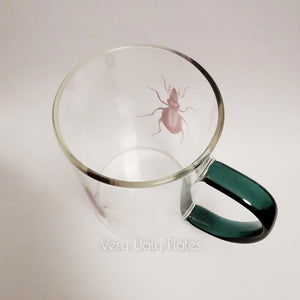 carabus coriaceus glass mug