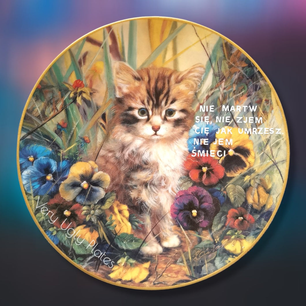 polish wall plate