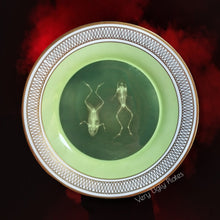 Load image into Gallery viewer, xray frogs wall plate