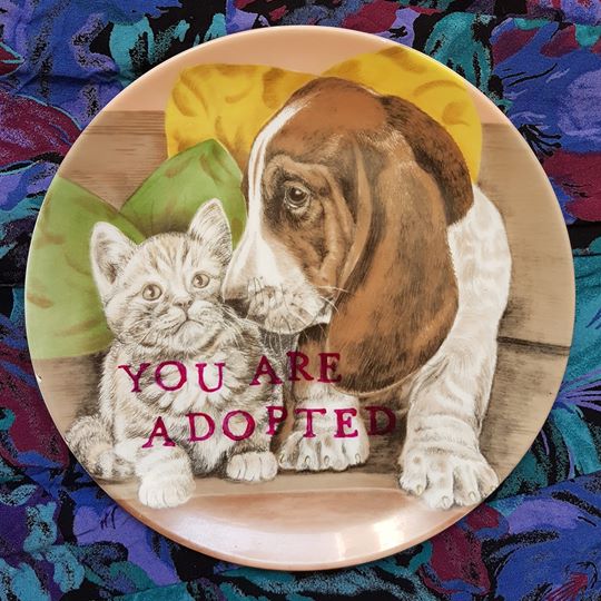 you are adopted