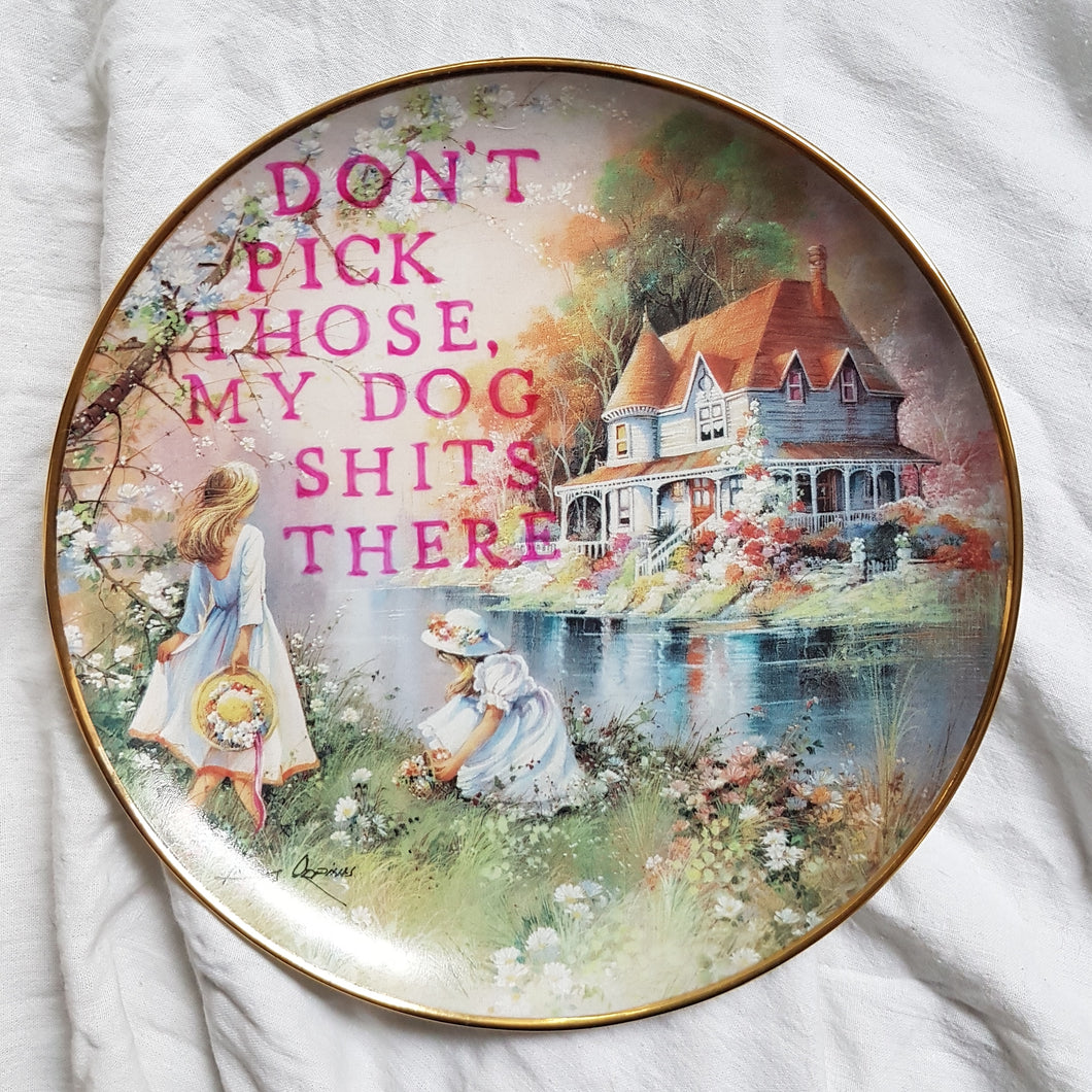 my dog shits there wall plate