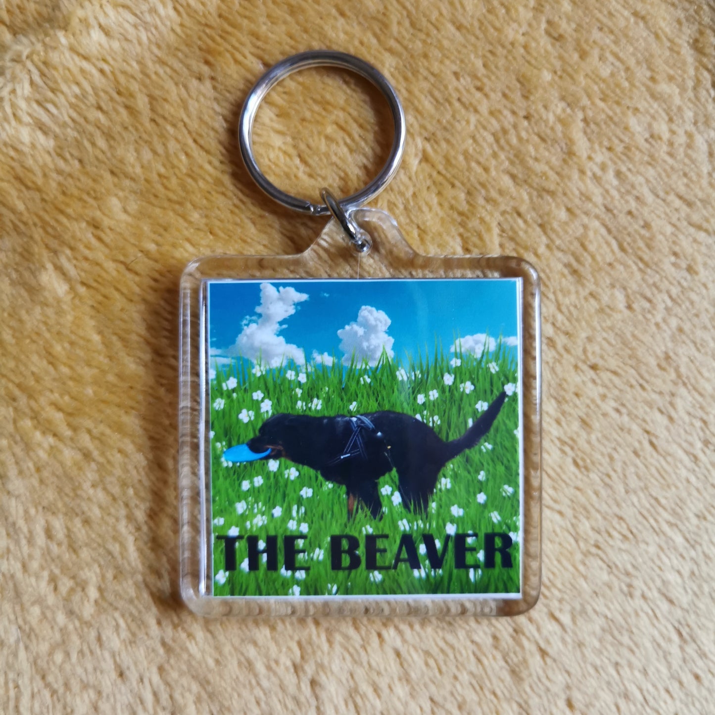 key chain