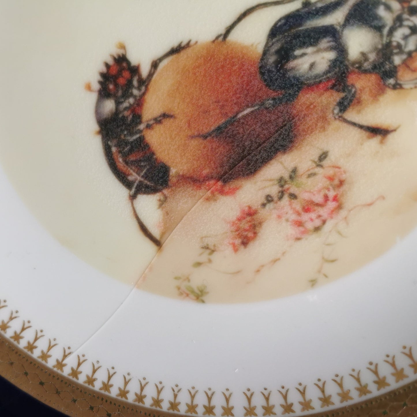 polish plate