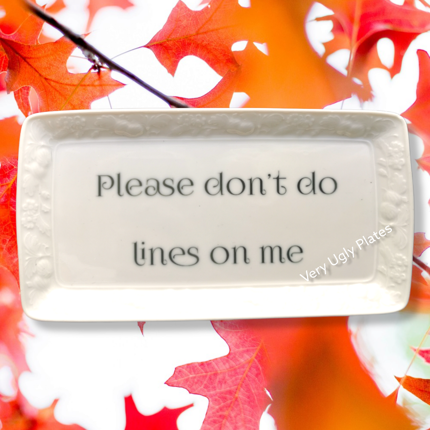 lines user friendly plate