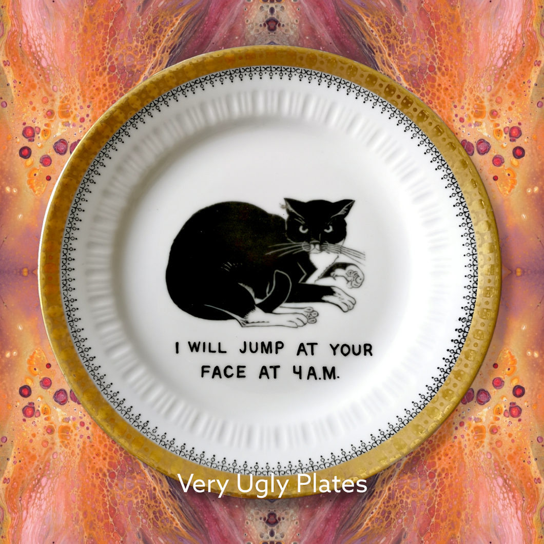jump at your face wall plate