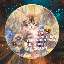 Load image into Gallery viewer, trash cat wall plate